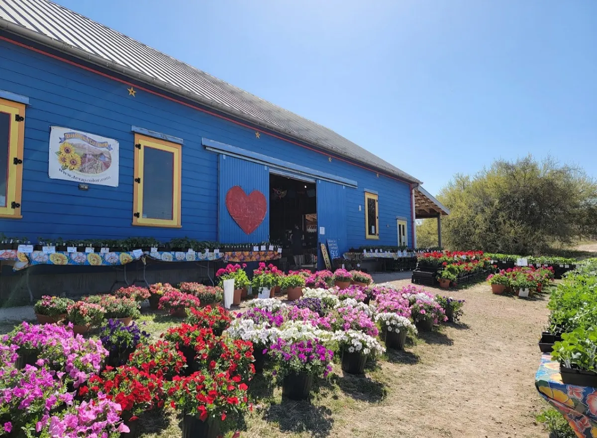 A family friendly winery near Fredericksburg, Texas