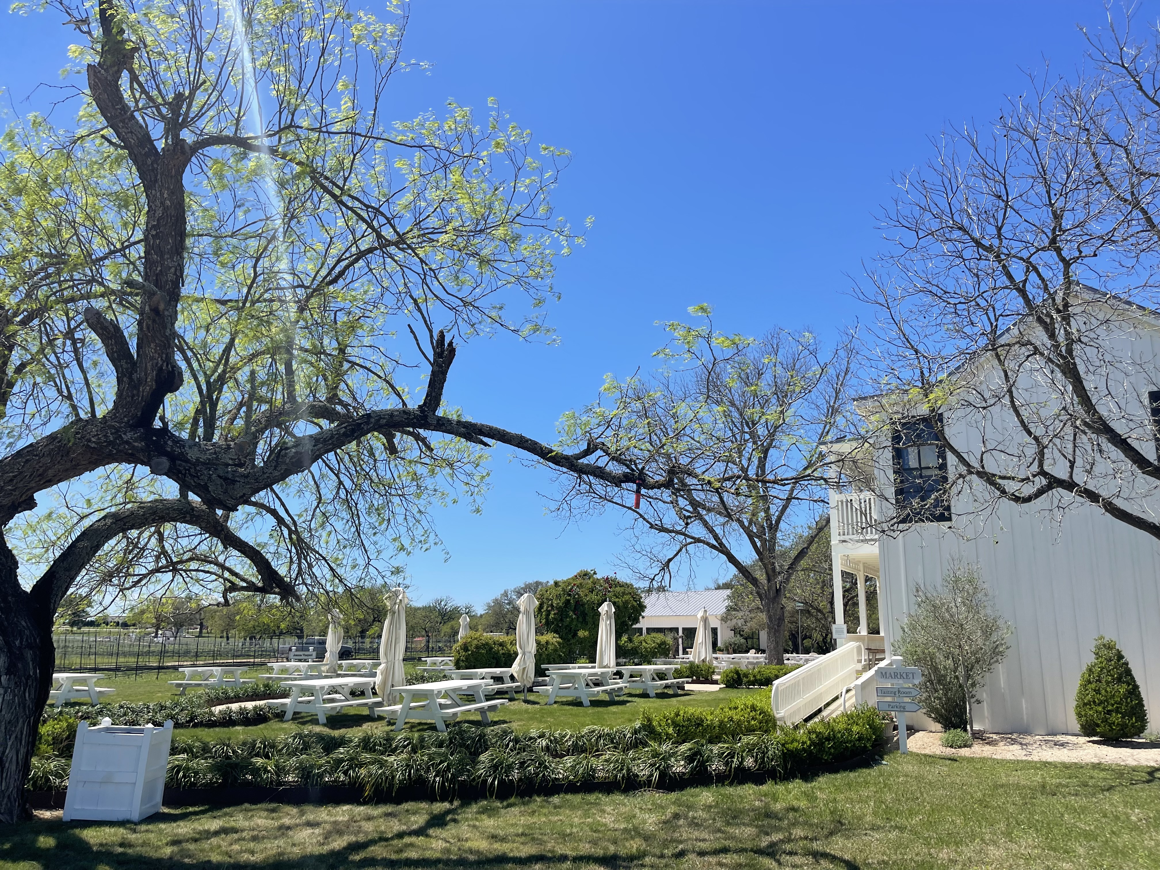 Texas wine tour